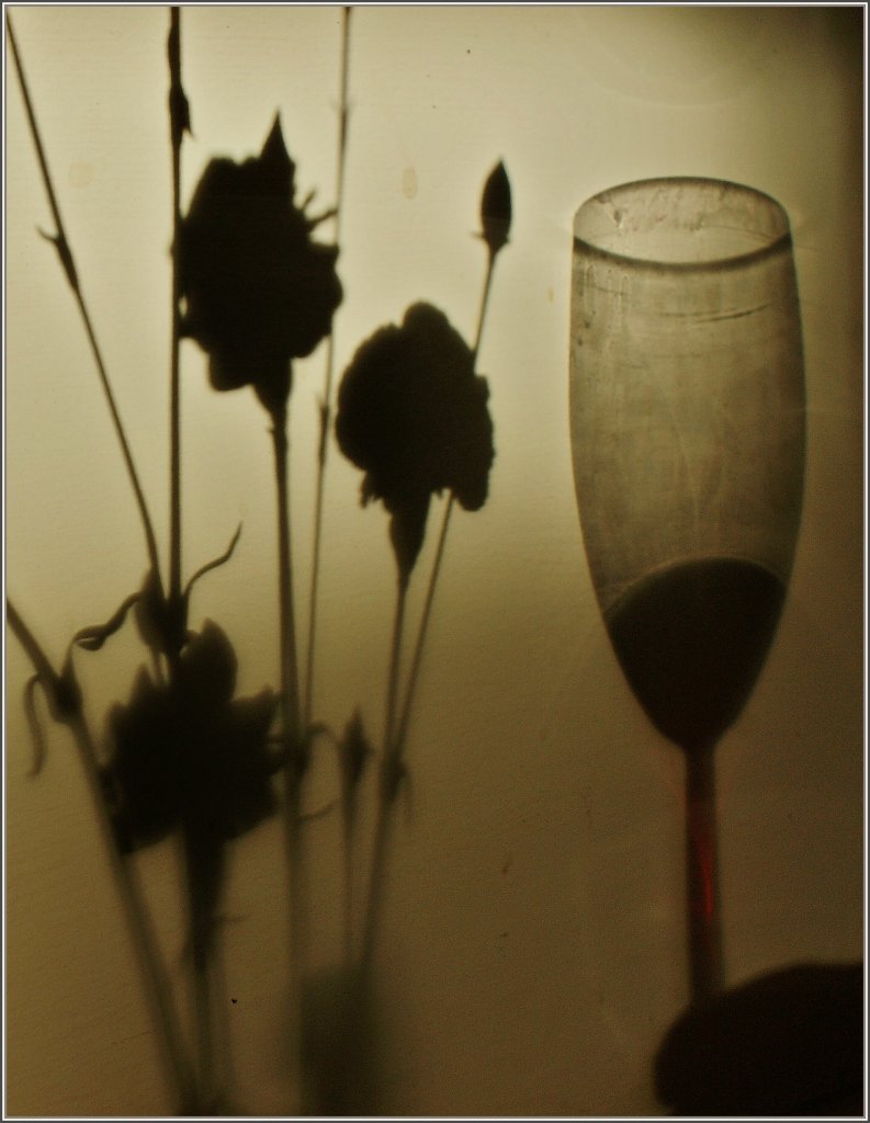 Die letzten Sonnenstrahlen, ein letzter Schluck, der Tag geht langsam zu Ende.
(16.05.2011)