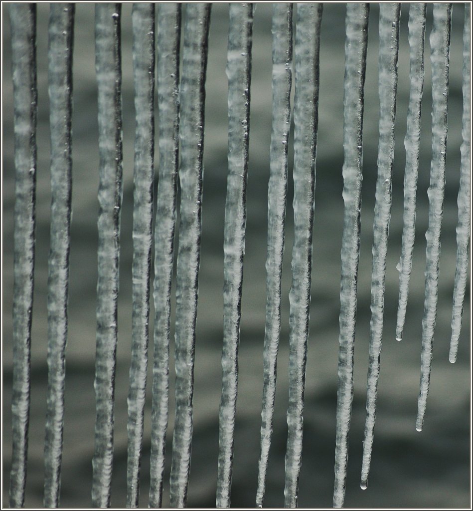 Im Eisgef�ngnis...
(02.02.2012)