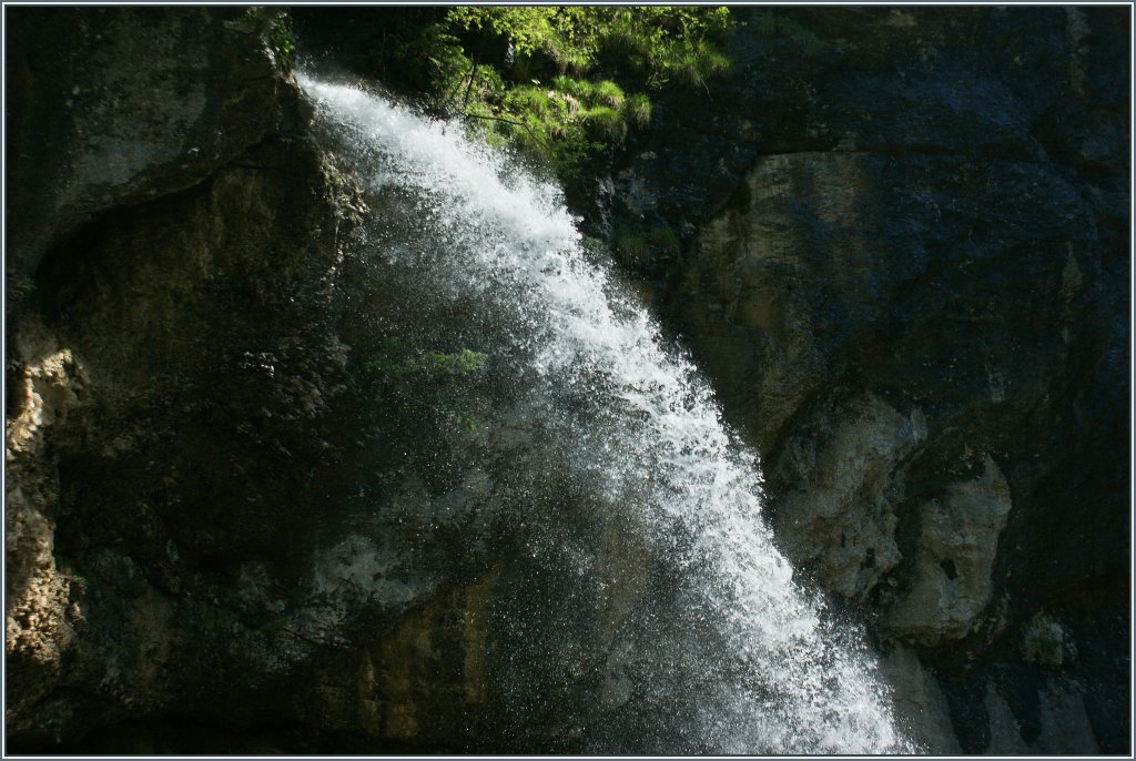 Im freien Fall...
(07.06.2013)