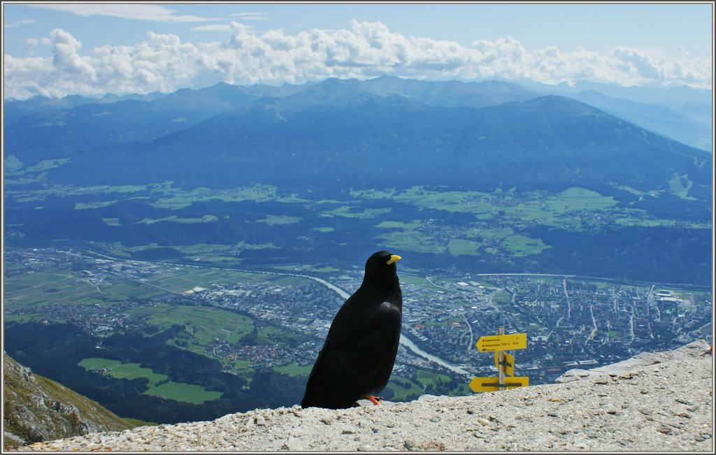Nachdem er sich damit abgefunden hatte das es bei uns nichts zum Essen gab, blieb er als stiller Beobachter sitzen.
(17.09.2011) 
