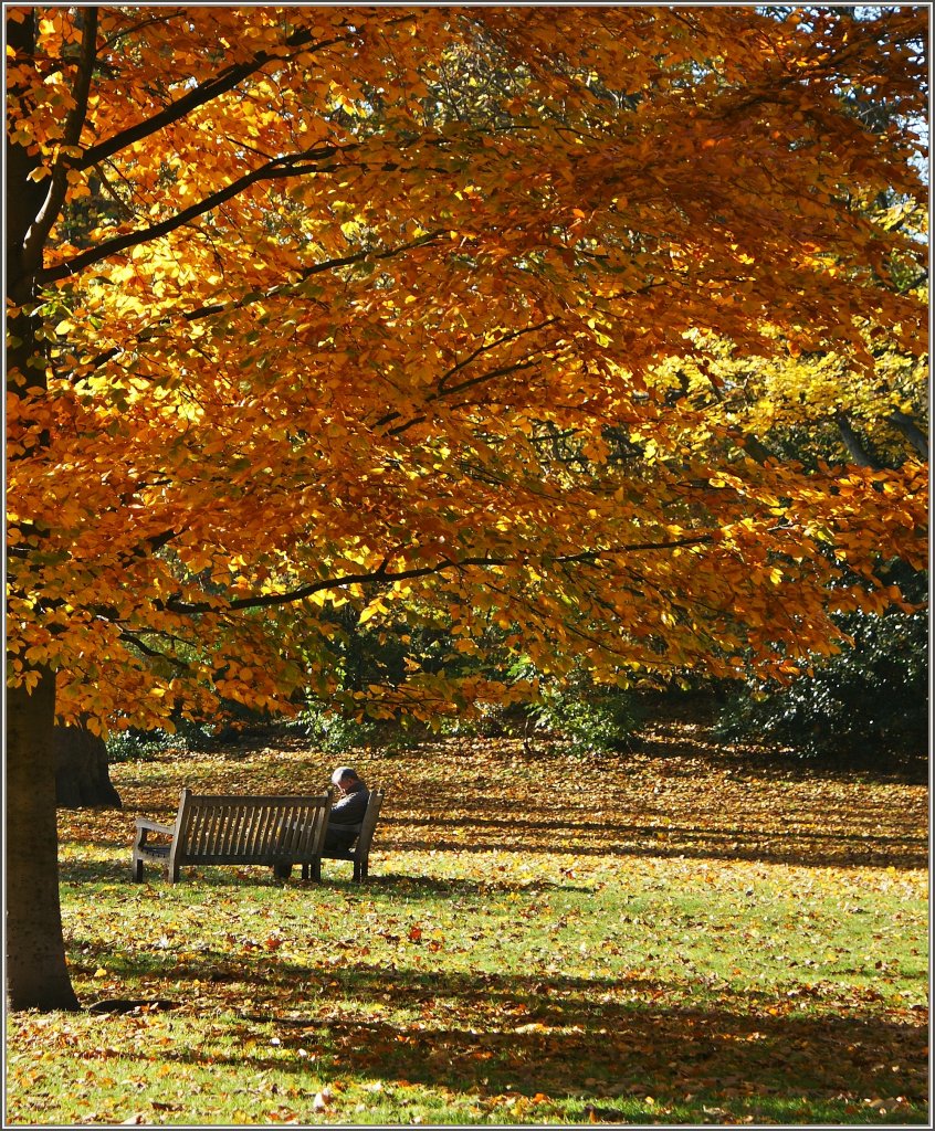 Ruhepause in den letzten w�rmenden Sonnenstrahlen des Herbstes.
(14.11.2012)