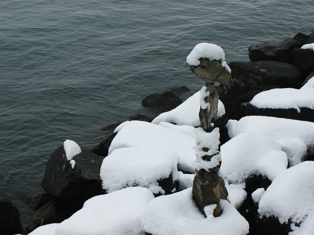 Sogar am See hat der Winter alles fest im Griff...
(05.01.2010)