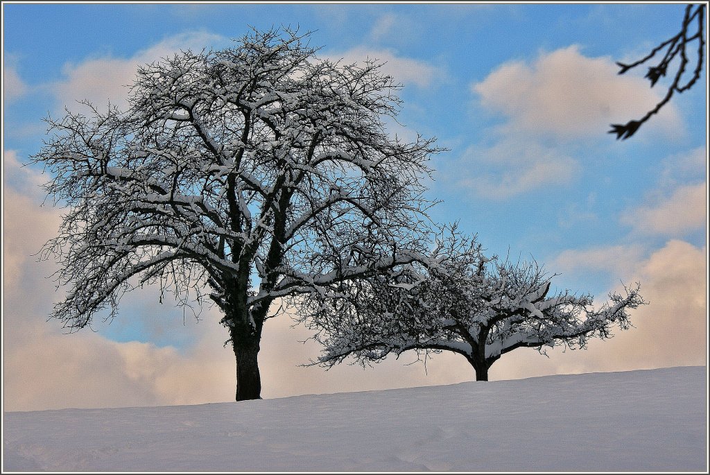 Vor genau einem Jahr...
(02.12.2010)