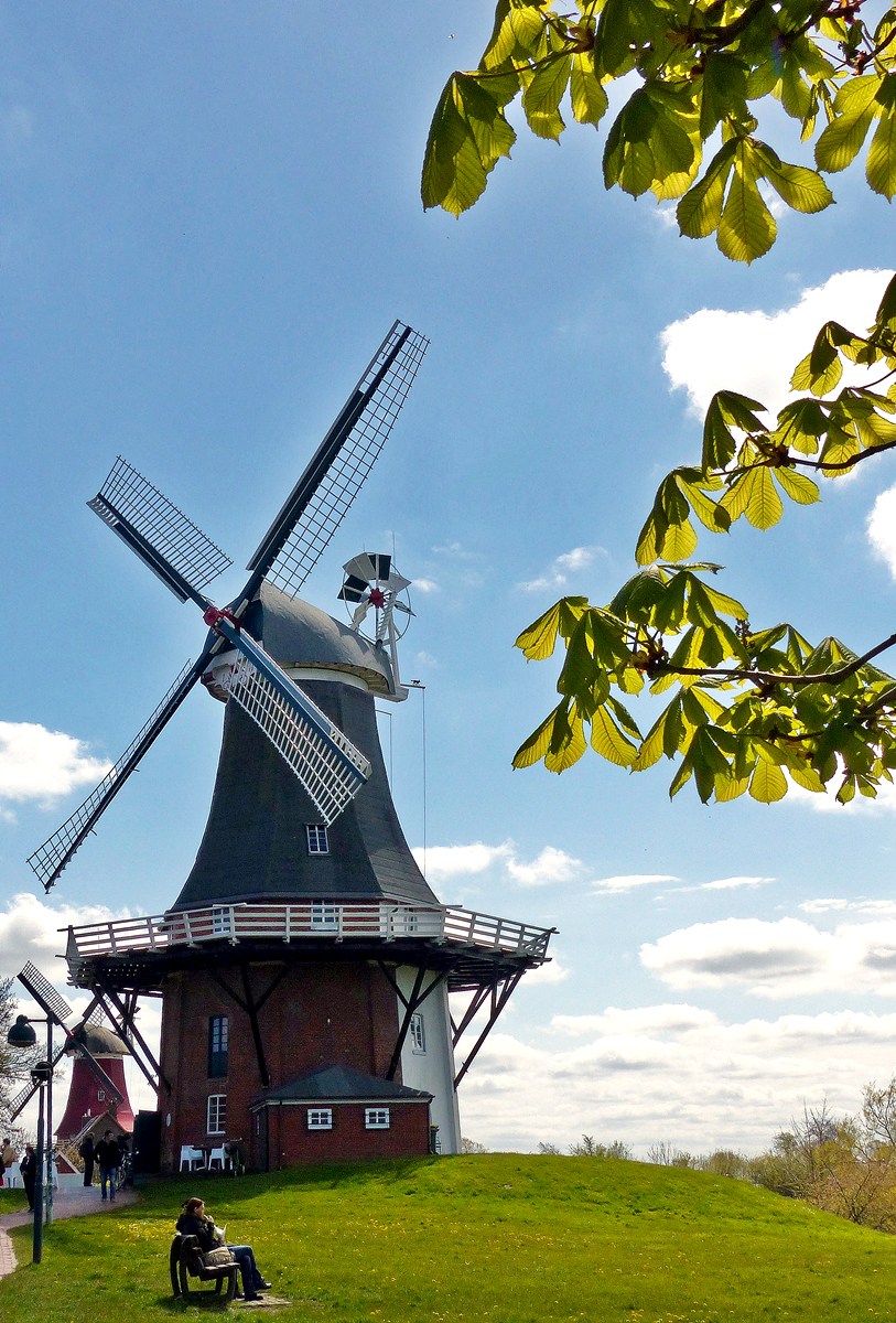 . Nachdem die gr�ne M�hle in Greetsiel 2013 durch einen Sturm schwer besch�digt wurde, erstrahlt sie heute wieder in altem Glanz. 01.05.2016 (Jeanny)