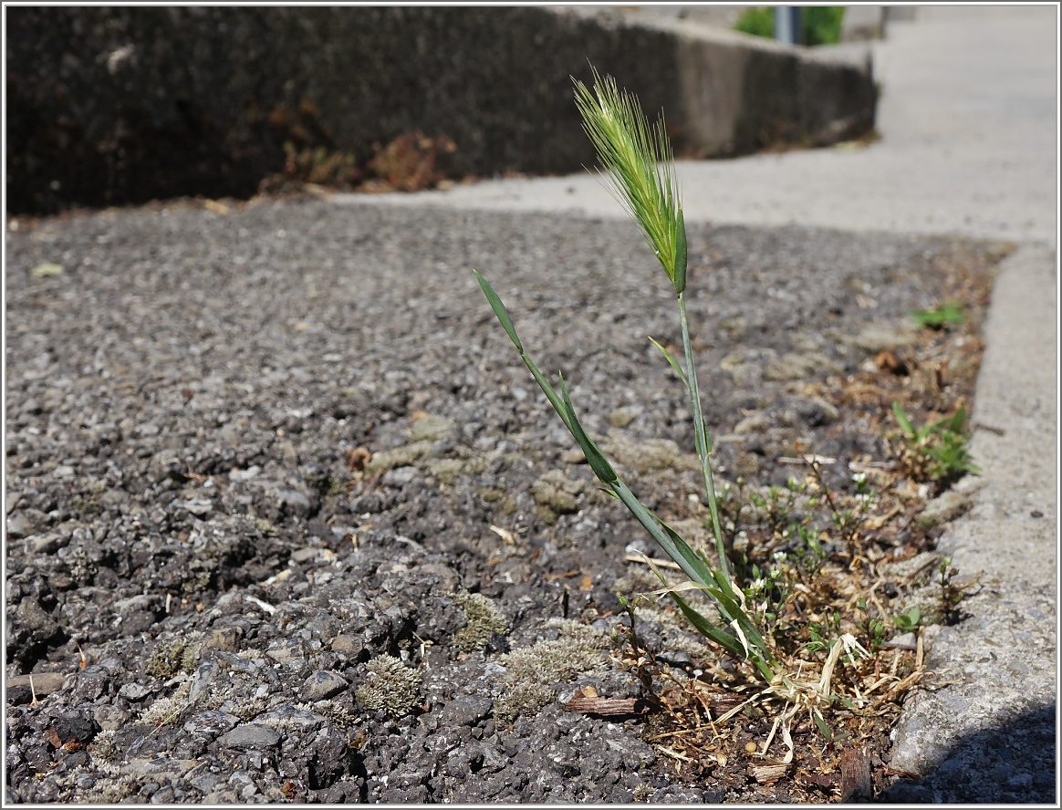 Aufbruch
(13.06.2015)