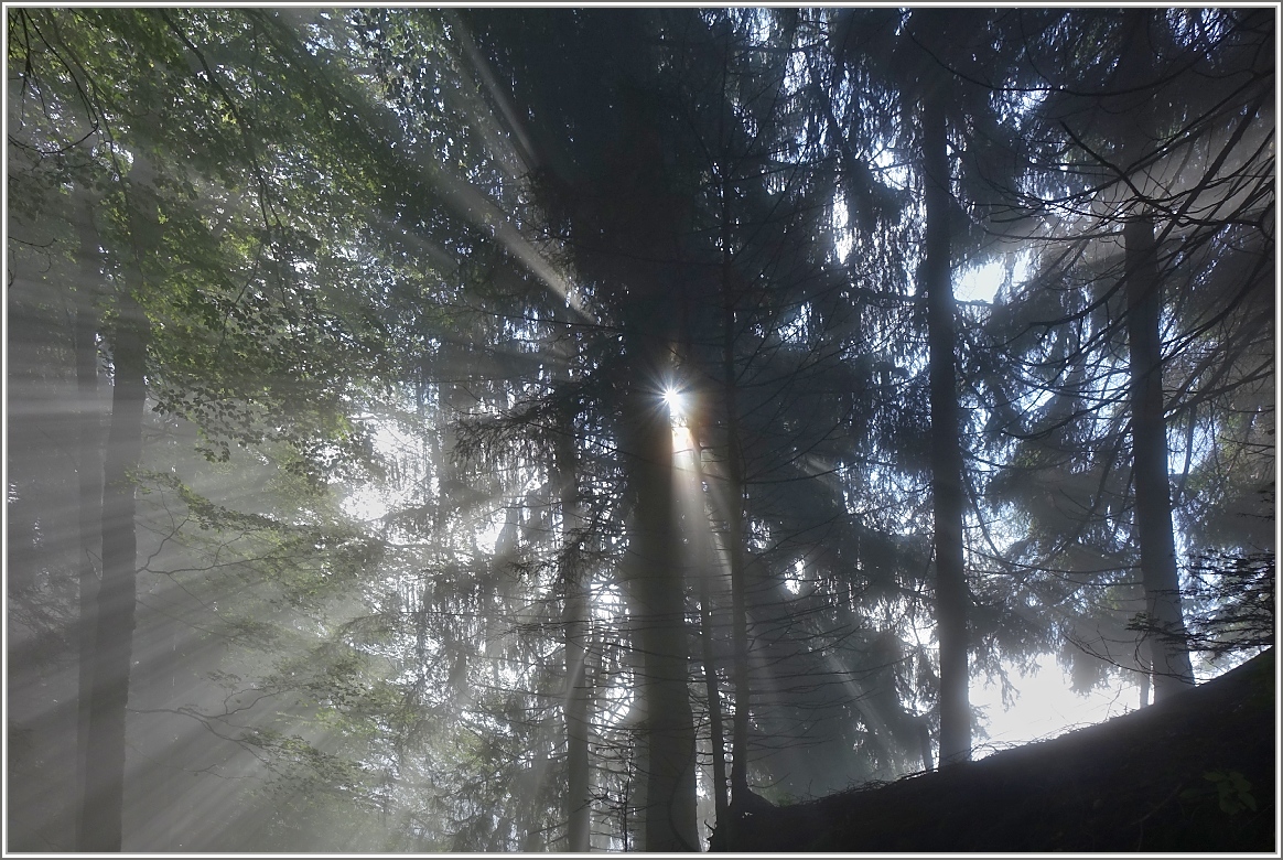 Die Sonne durchbricht den Nebel mit ihren Strahlen
(22.09.2016)