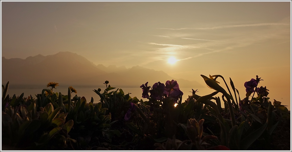 Ein Frühlingstag geht zu Ende
(10.03.2014)