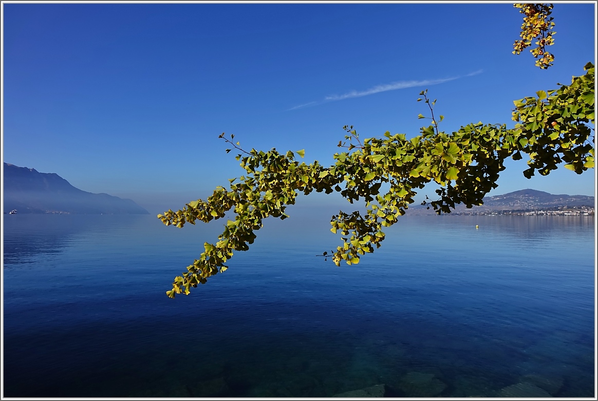 Herbststimmung am 01.November 2014