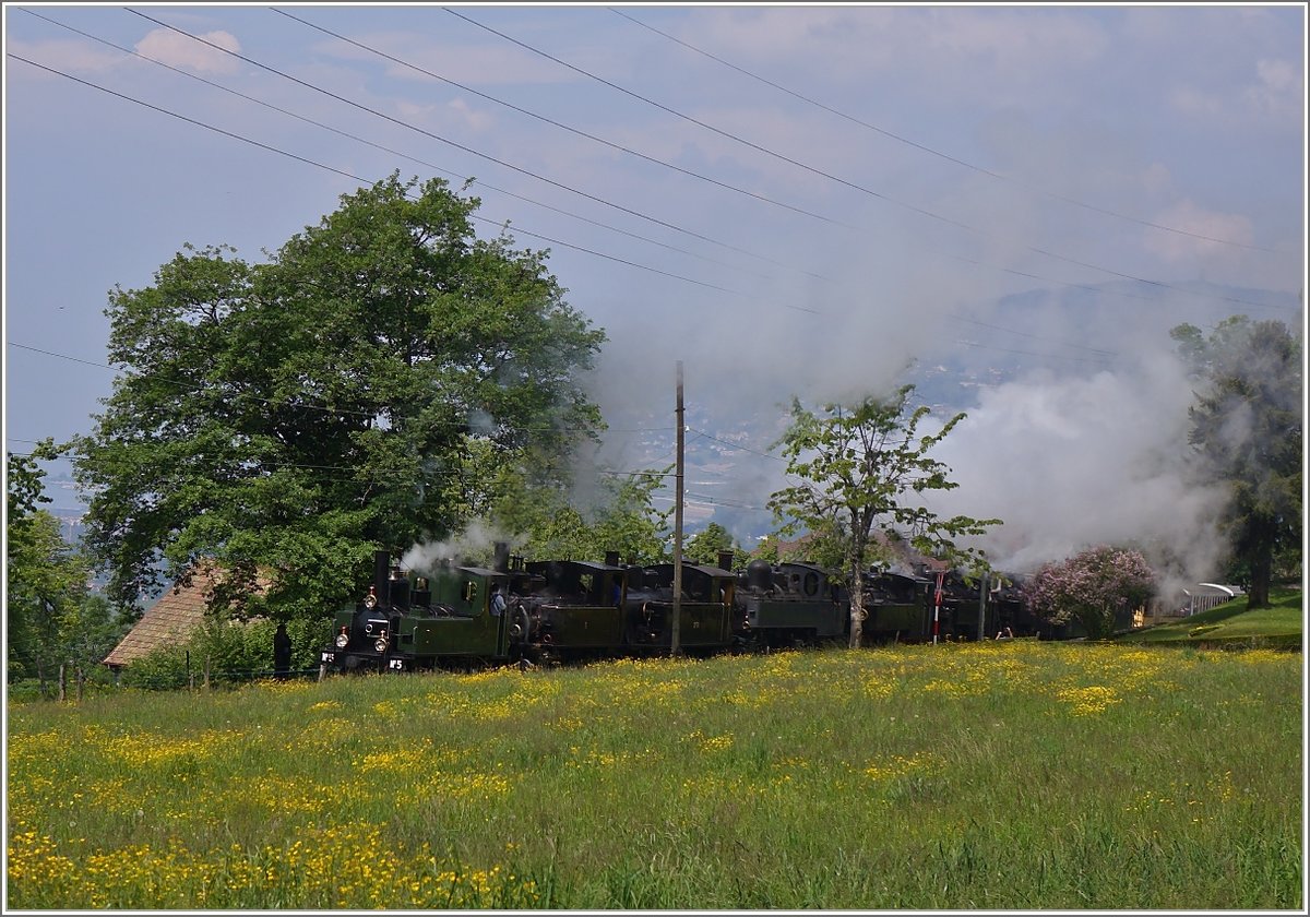 Sieben auf einen Streich beim diesjährigen Blonay-Chamby Dampffestival.
(19.05.2018)
