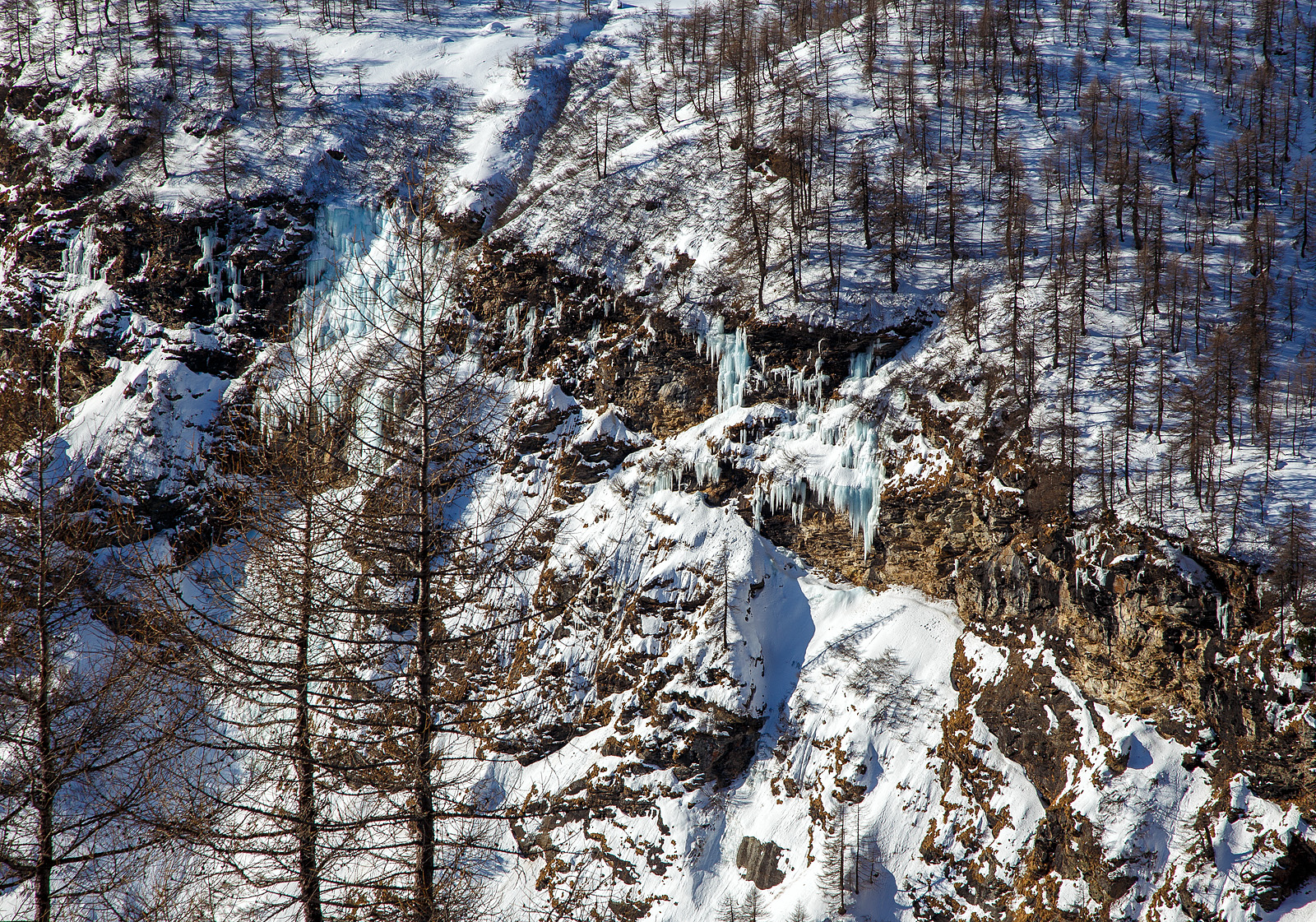 Man kann wohl die Kälte erkennen am 20 Februar 2017 beim Bahnhof Alp Grüm.