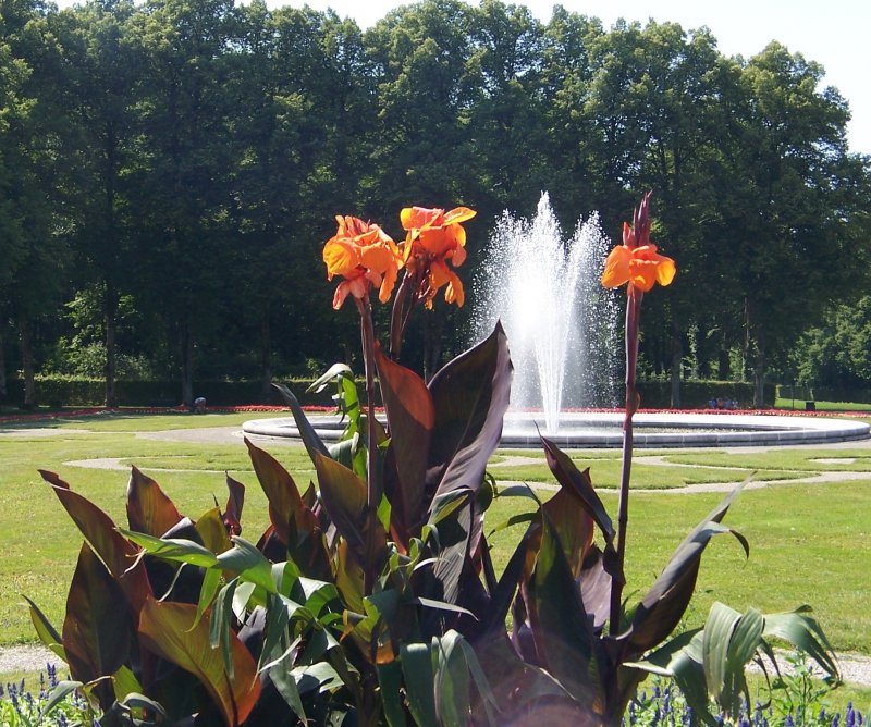 Blumen sind ein  Guten Tag  der Natur