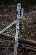 Hier hat wohl jemand seinen L�ffel abgegeben! Ohne Schmarrn, der steckte da wirklich!