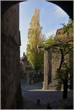 Herbstliches St.Saphorin.