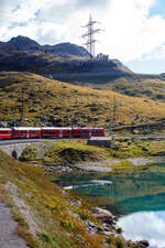 Geführt von dem ALLEGRA-Zweispannungstriebzug ABe 8/12 RhB 3504  Dario Cologna  erreichen wir mit unserem RhB-Regionalzug nach Tirano am 06.09.2021 bald Ospizio Bernina, den höchsten Punkt