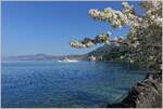 Frühlingsausflug am Genfersee
(27.04.2022)