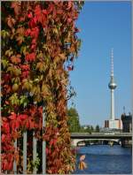 Bunte Bl�tter erz�hlen in Berlin vom baldigen Herbst.