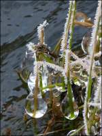 Der Winter hat sich mal wieder als K�nstler bet�tigt.