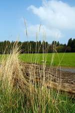 Eine Impression.....