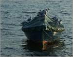 Alle im selben Boot...