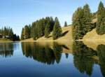 Tannen spiegeln sich im Lac Retaud.