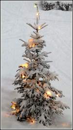Frohe Weihnachten und einen guten Rutsch ins neue Jahr an alle User und Besucher dieses sch�nen Seite.