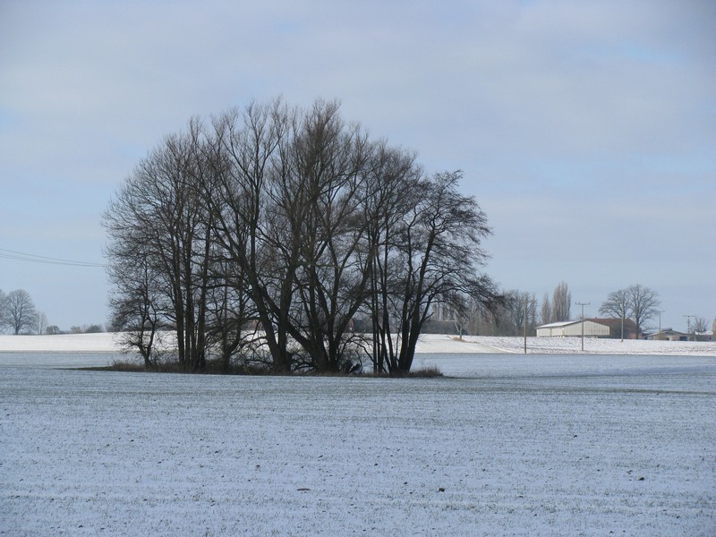 verschneite Winterlandschaft bei Pieverstorf, Nordwestmecklenburg 12.02.2009